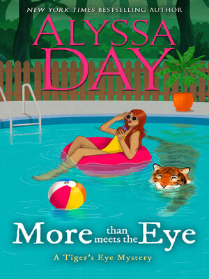 More Than Meets the Eye - ebook